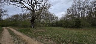 ISTRIA, KANFANAR - Ampio terreno agricolo di 17,5 ettari