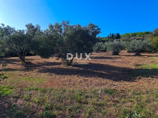 ISOLA DI PAŠMAN, KRAJ - Terreno edificabile a 200 m dal mare