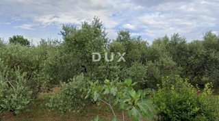 Terreno Brzac, Krk, 517m2