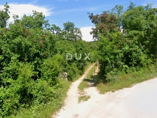 ISTRIA, ALBONA - Terreno agricolo curato
