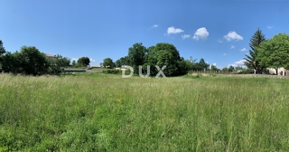 ISTRIA, TINJAN - Terreno per una villa con infrastrutture