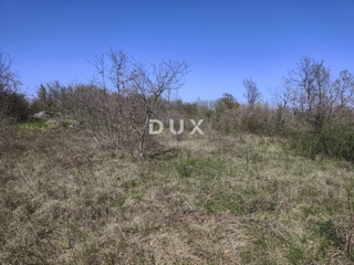 ISTRIA, MARČANA - Progetto di prestigio per una casa a un solo piano con piscina e terreno agricolo