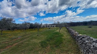 Terreno Cokuni, Marčana, 3.352m2