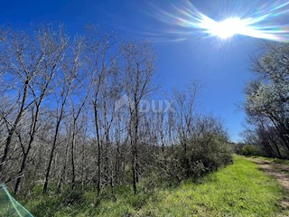 Terreno Labinci, Kaštelir-Labinci, 2.470m2