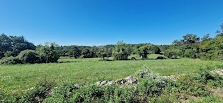 Terreno Lindar, Pazin - Okolica, 7.327m2