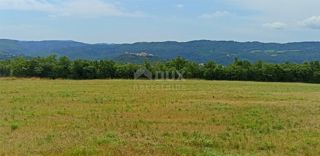 Terreno Buzet, 1.659m2