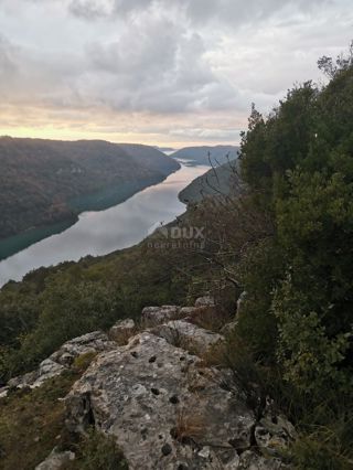 ISTRIA, SVETI LOVREČ - Terreno agricolo con vista mare