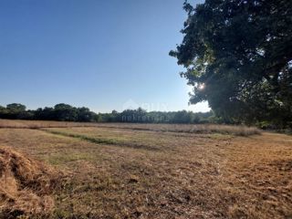 ISTRIA, MARČANA - Terreno edificabile libero su due lati immerso nella natura