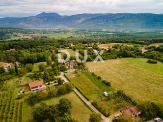 ISTRIA, ALBONA - Terreno con 2 permessi di costruire