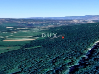 ISTRIA, ALBONA - Ampio terreno boschivo