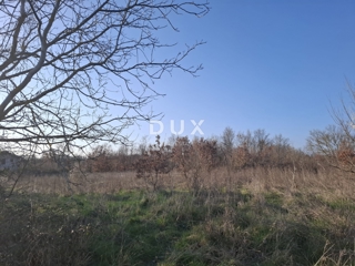 ISTRIA, KANFANAR - Ampio terreno agricolo