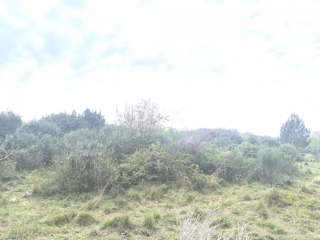 ISTRIA, PREMANTURA - Terreno per weekend, Capo Kamenjak, a 150 m dalla spiaggia