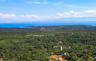 LUSSINO, MALI LOŠINJ - Uliveto a 400 metri dal mare