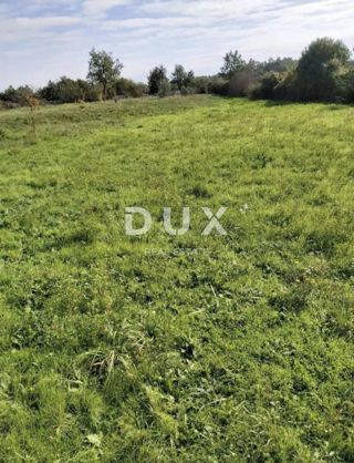 ISTRIA, ŽMINJ - Terreno edificabile di forma regolare