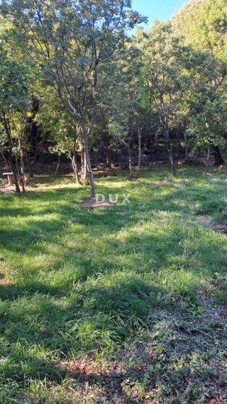 NOVI VINODOLSKI, POVILE - ampio terreno edificabile