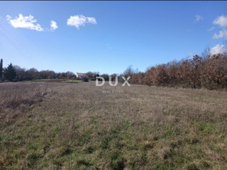 ISTRIA, ŽMINJ - Terreno edificabile di 5.500 m² con possibilità di conversione