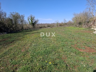 ISTRIA, JURŠIĆI - Terreno agricolo arabile vicino al villaggio