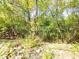 Terreno Kanfanar, 1.006m2