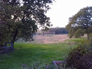Terreno Mrgani, Kanfanar, 6.852m2