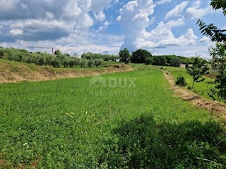 ISTRIA, BARBAN - Terreno edificabile con vista aperta sul verde