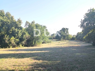 ISTRIA, SVETVINČENAT Terreno agricolo ad uliveto