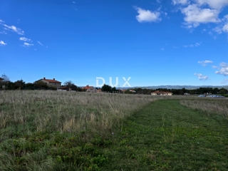 ISTRIA, ALBONA - Ampio terreno edificabile