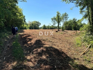 ISTRIA, MUNTIĆ - Ottima opportunità!