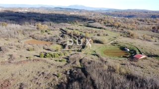 ISTRIA, TRVIŽ - Ottima opportunità agricola