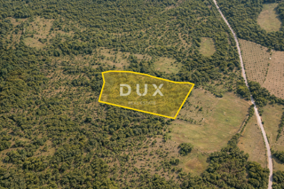 ISTRIA, BALE - Terreno agricolo nel cuore della natura istriana