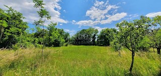 Terreno Barban, 2.241m2