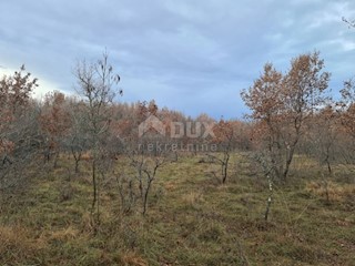 Terreno Kaštelir, Kaštelir-Labinci, 66.358m2