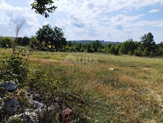 ISTRIA, VIŠNJAN - Terreno edificabile per la costruzione di 3 ville