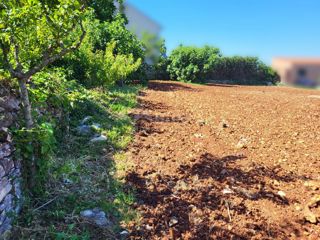ISTRIA, CITTANOVA - Terreni edificabili e agricoli