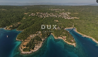 ISOLA DI KRK, PINEZIĆI - Vecchio uliveto, ben curato, in posizione tranquilla