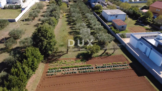 Terreno Vrsi, 500m2