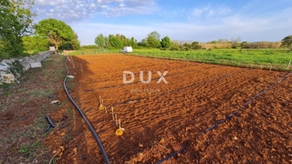 ISTRIA, POLA - Terreno agricolo 3700 m2