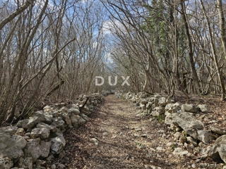 ISOLA DI KRK, GOSTINJAC - Foresta di 6201 m2, accesso da strada asfaltata