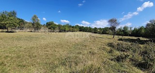 ISTRIA, GRONJAN - Ampio terreno edificabile in una zona appartata