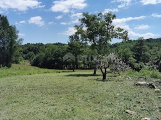 Terreno Zabrežani, Pazin - Okolica, 1.050m2