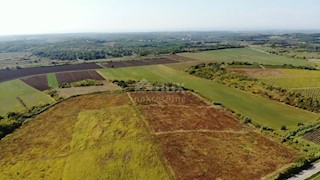 ISTRIA, BUJE - Terreno agricolo di 14.255 m2 con vista mare!