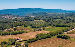 Terreno Barban, 11.669m2