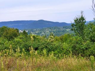 Terreno Sovinjak, Buzet, 1.958m2
