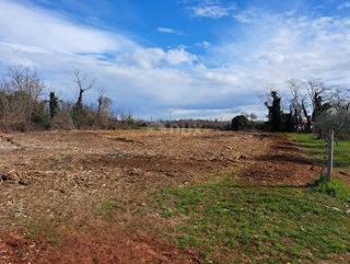 ISTRIA, UMAGO - Terreno a destinazione mista a 500 metri dal mare