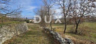ISTRIA, PIĆAN - 1600 m2 di terreno edificabile + 2100 m2 di terreno agricolo
