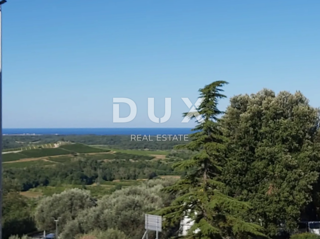 ISTRIA, BUIE - Struttura di ristorazione in posizione privilegiata