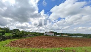ISTRIA, TINJAN - Terreno edificabile adatto per costruire una o due case