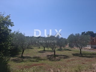 ISTRIA, FILIPPINE - terreno edificabile