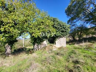 Casa Boljunsko Polje, Lupoglav, 166m2