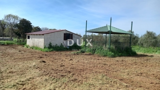 ISTRIA, POLA - Terreno agricolo con fabbricato agricolo!