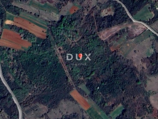 ISTRIA, ALBONA - Grande area boschiva